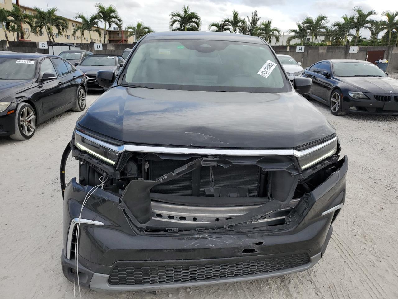 2024 Honda Pilot - Image 5