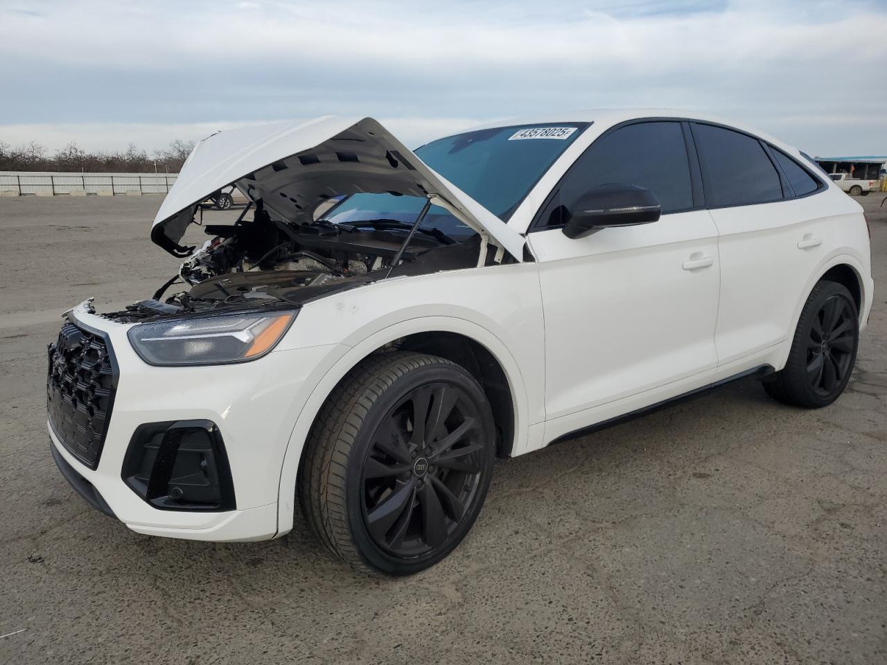 2023 Audi SQ5 Sportback - Image 1