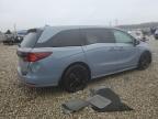 2023 Honda Odyssey Sport-L for Sale in Memphis, TN - Side