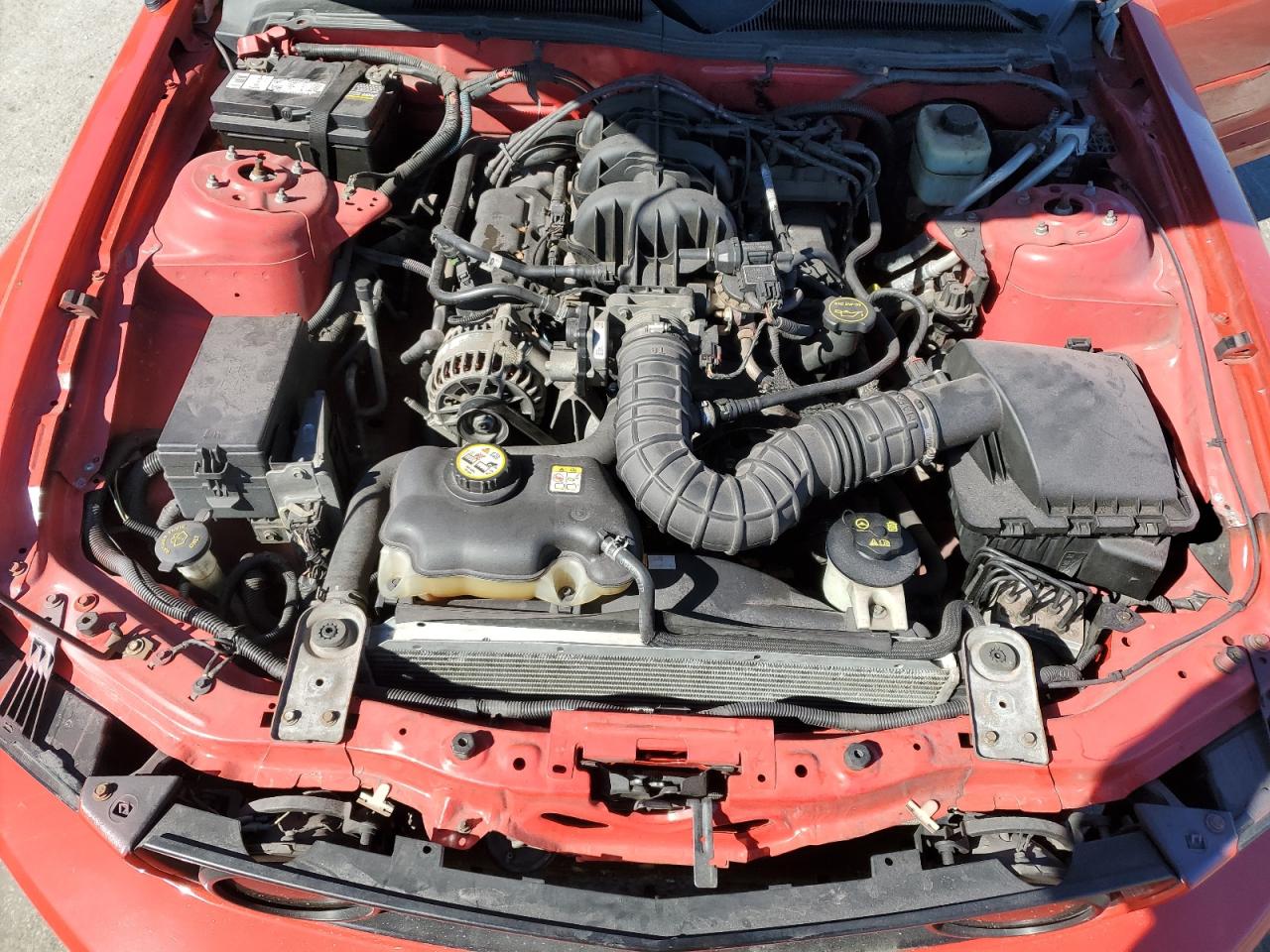 2006 Ford Mustang VIN: 1ZVFT84NX65244611 Lot: 45546345