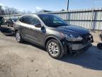2020 Ford Escape Se for Sale in Glassboro, NJ - Hail