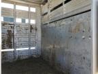 1990 Featherlite Horsetrail იყიდება Amarillo-ში, TX - Side