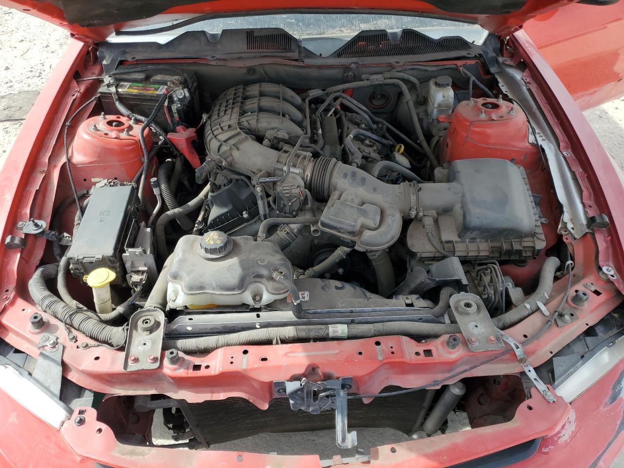 2012 Ford Mustang VIN: 1ZVBP8AM1C251330 Lot: 46155095