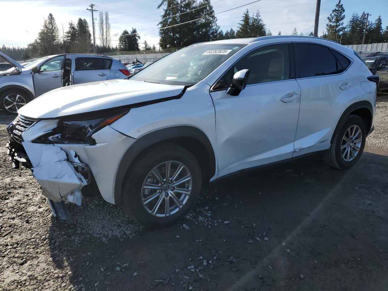 2021 Lexus NX - Image 1