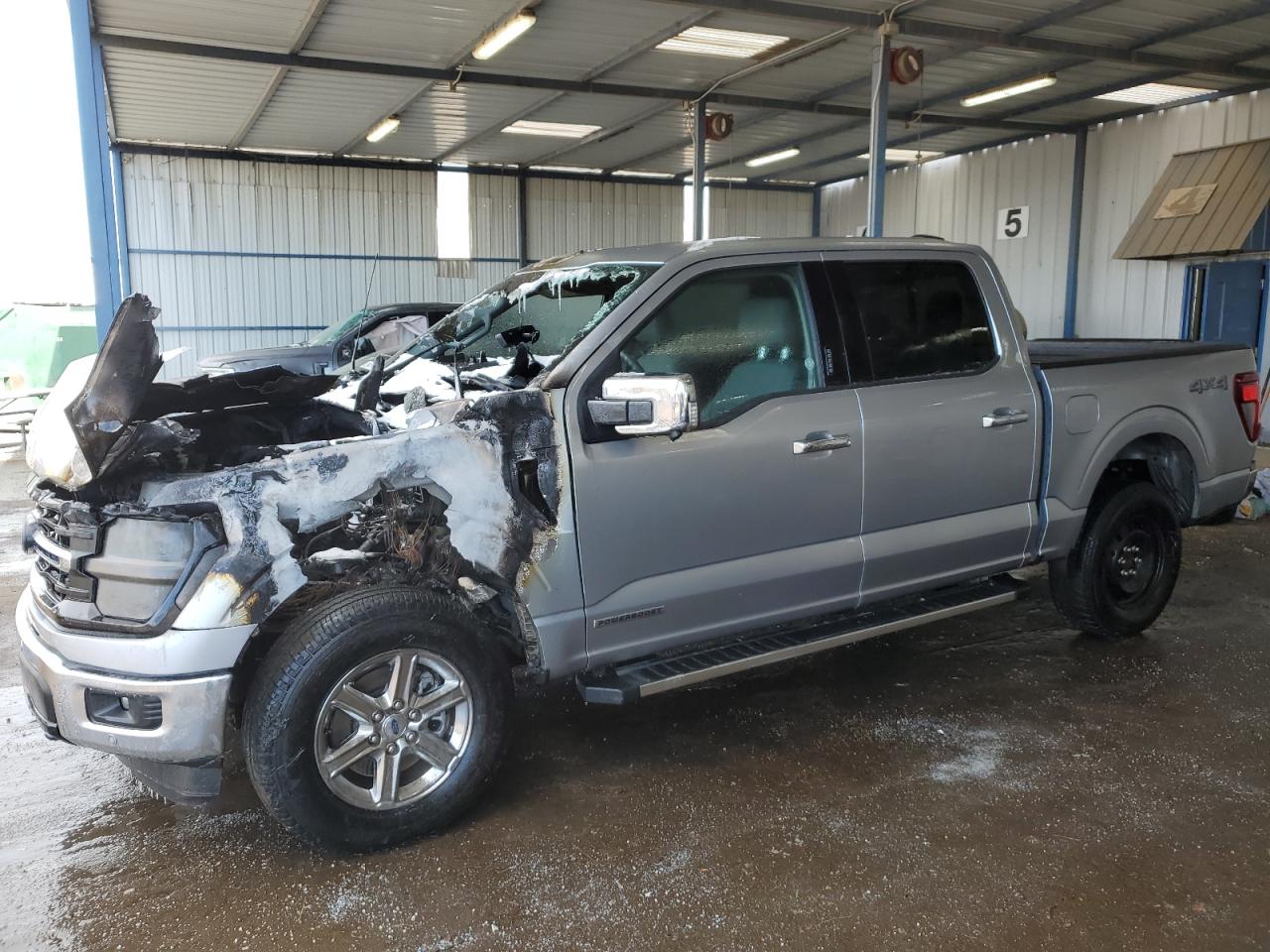 2024 Ford F150 Xlt продається в Brighton, CO - Burn