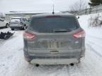 2013 Ford Escape Se zu verkaufen in Davison, MI - Front End