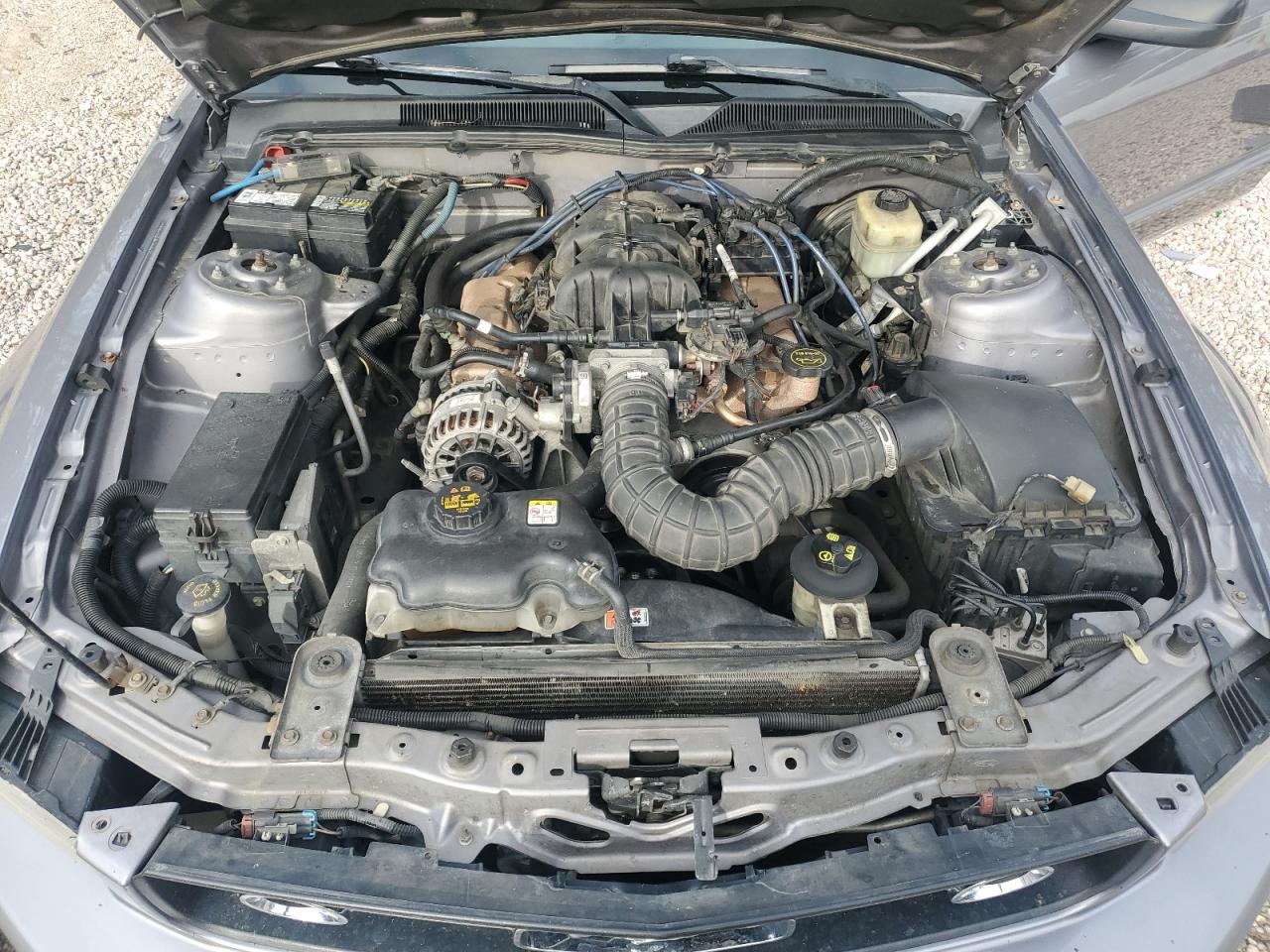 2006 Ford Mustang - Image 12