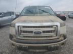2013 Ford F150 Supercrew en Venta en Lawrenceburg, KY - Water/Flood
