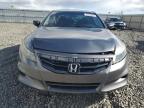 2011 Honda Accord Exl en Venta en Reno, NV - Rear End