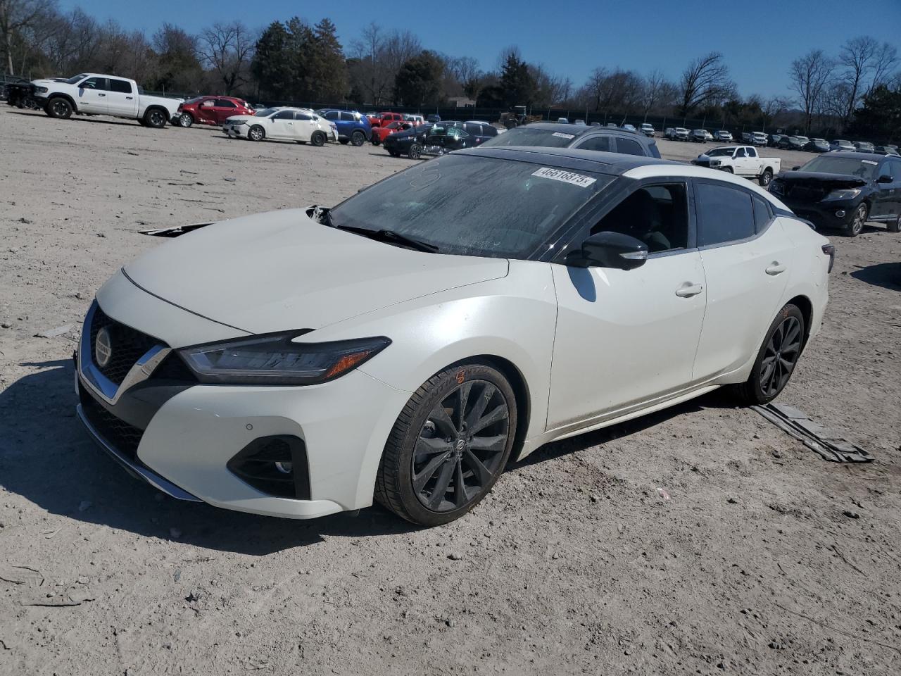 2019 Nissan Maxima - Image 1