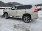 2013 Lexus Gx 460 للبيع في Hurricane، WV - Front End