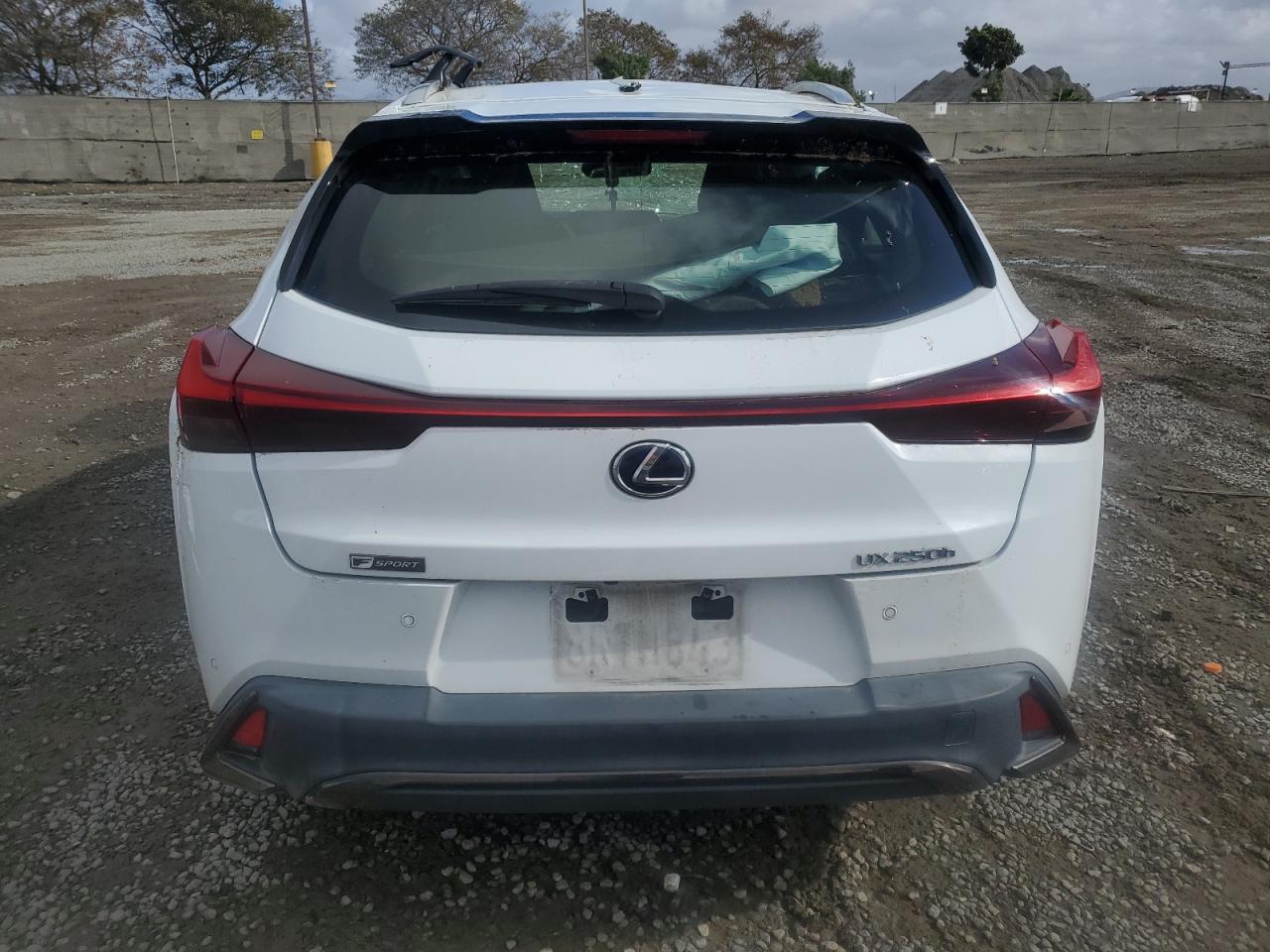 2020 Lexus UX - Image 6