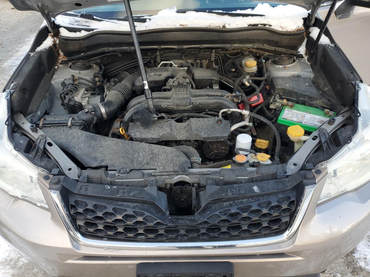 2014 Subaru Forester - Image 11