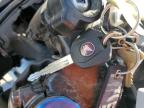 2025 Honda Cbr600 Rr for Sale in Phoenix, AZ - All Over