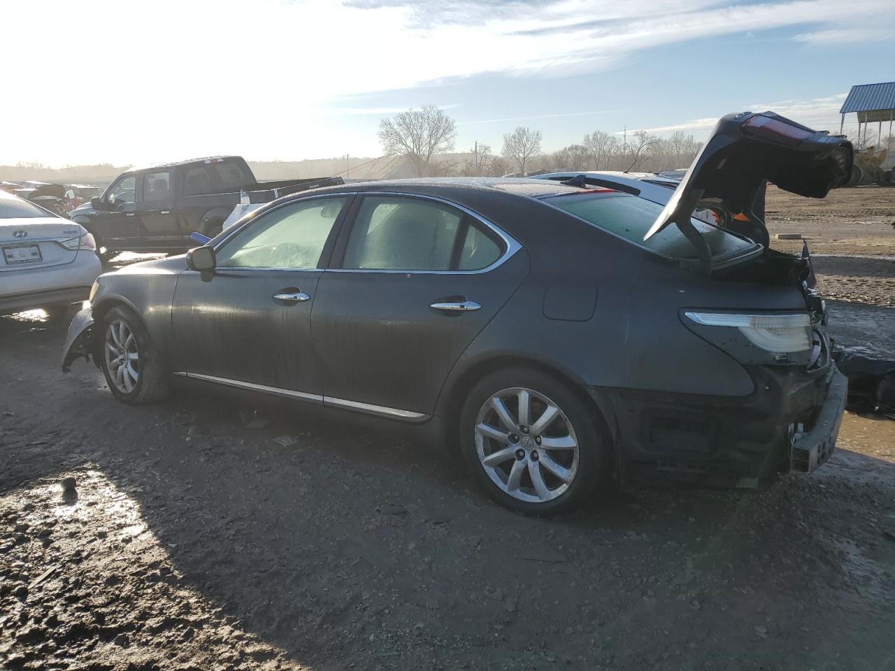 2007 Lexus LS - Image 2