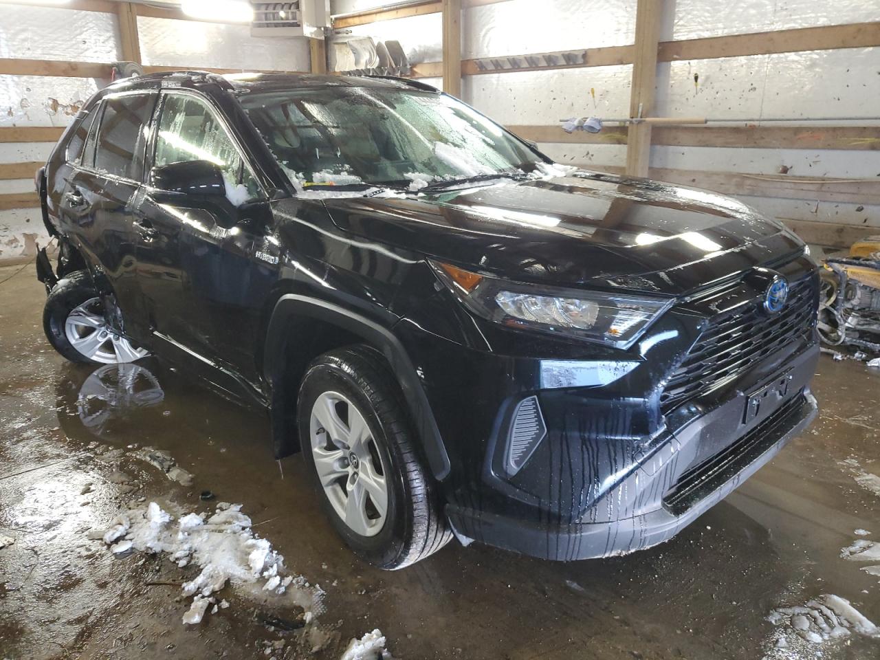 2019 Toyota RAV 4 - Image 4