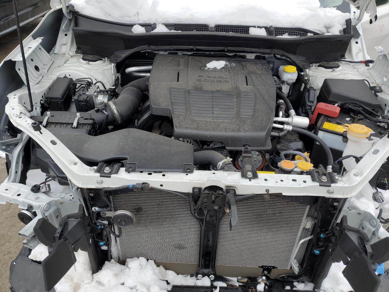 2024 Subaru Forester - Image 12