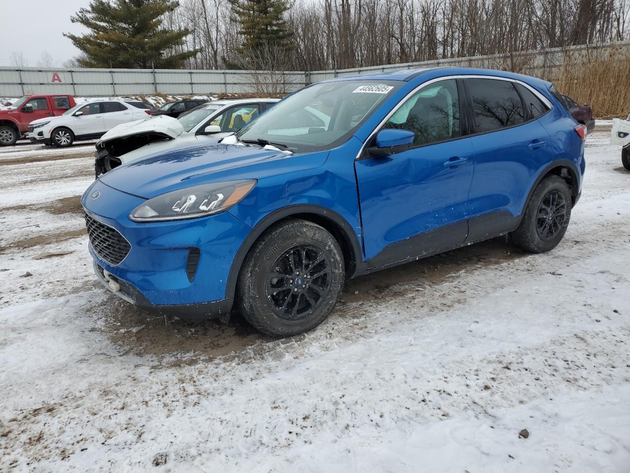 2021 Ford Escape - Image 1