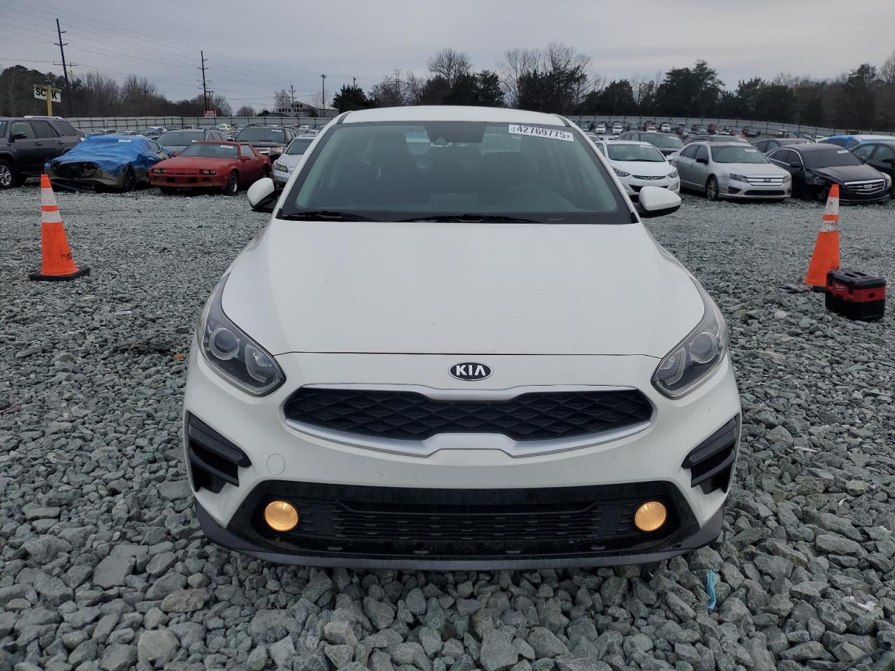 2019 Kia Forte - Image 5