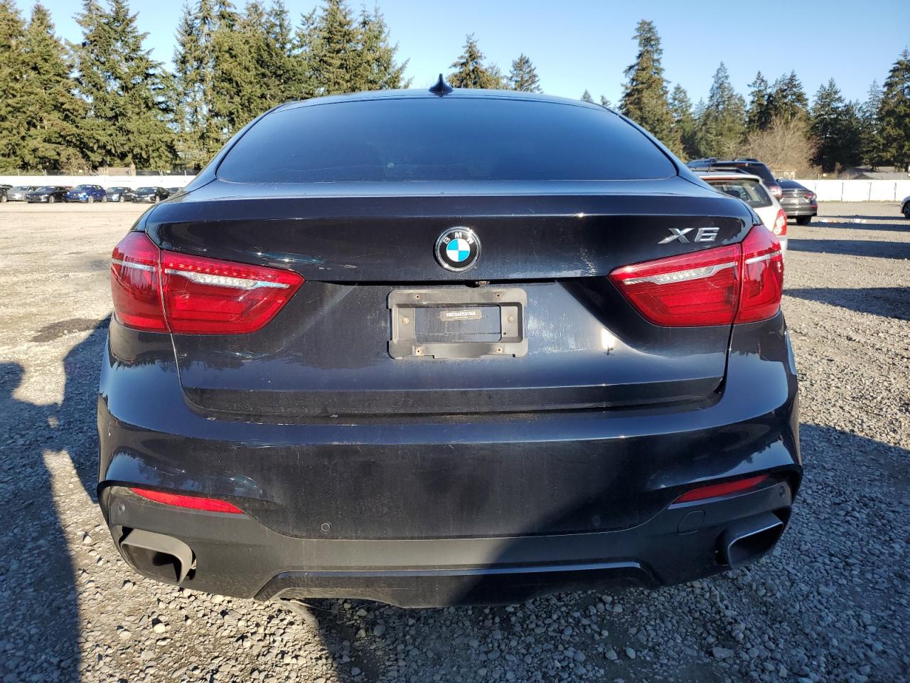 2019 BMW X6 - Image 6