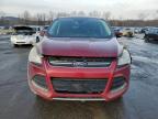 2013 Ford Escape Sel იყიდება Marlboro-ში, NY - Minor Dent/Scratches
