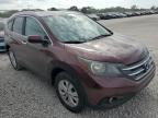 2013 Honda Cr-V Exl იყიდება West Palm Beach-ში, FL - Side