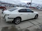 2014 Nissan Maxima S for Sale in Farr West, UT - Front End