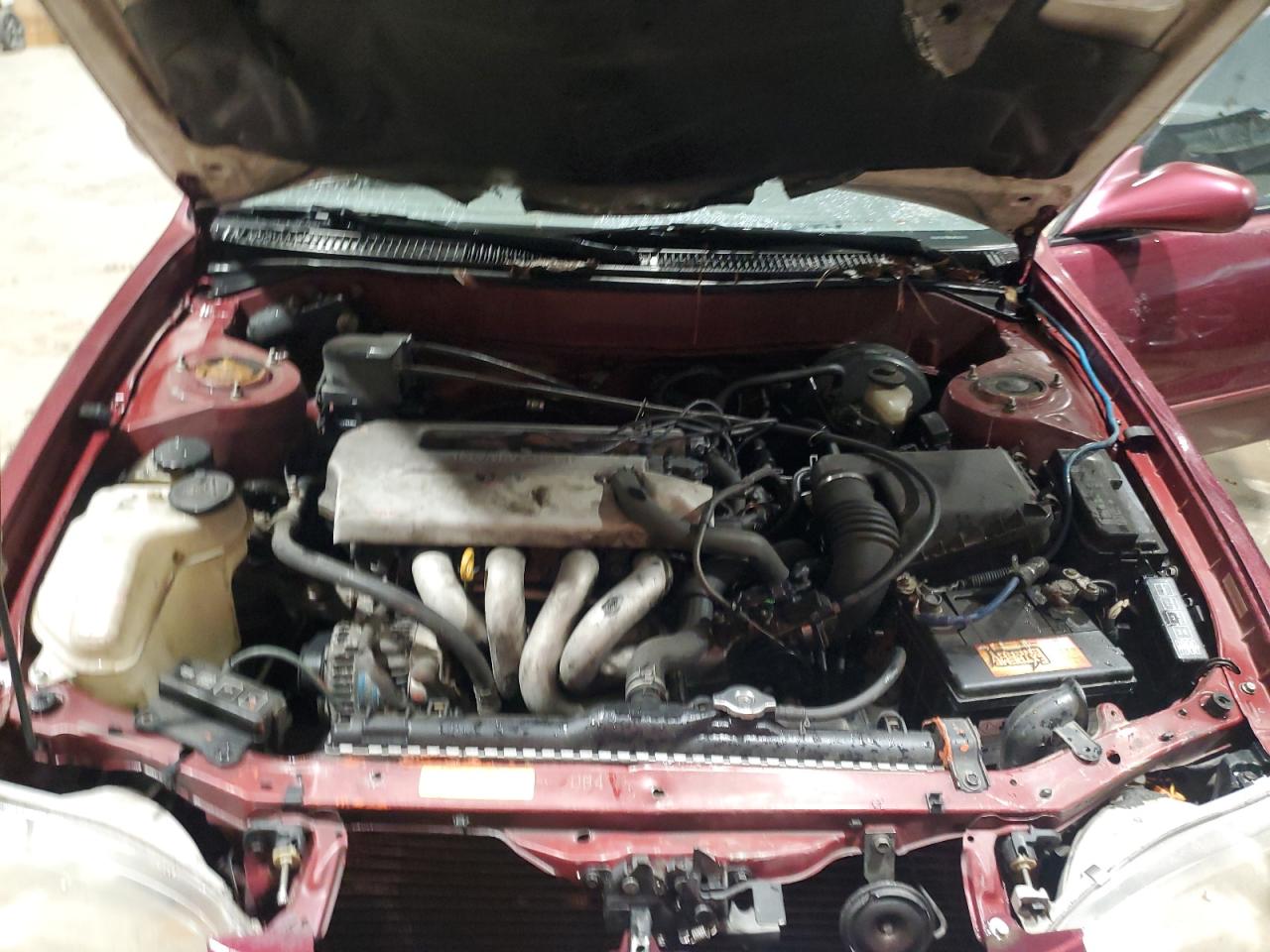 1998 Toyota Corolla - Image 11