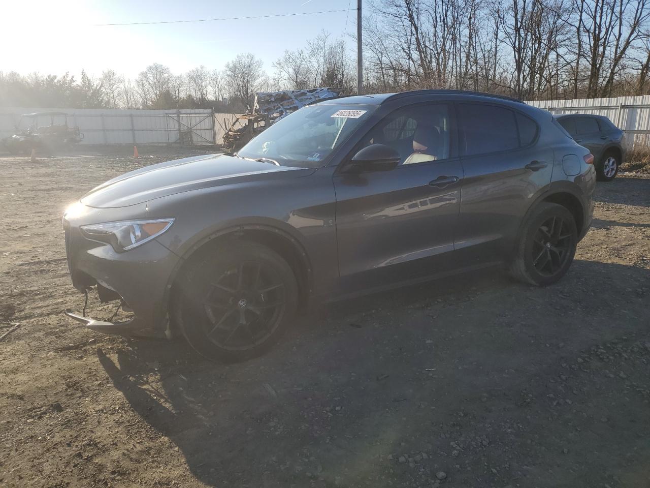 2019 Alfa Romeo Stelvio - Image 1