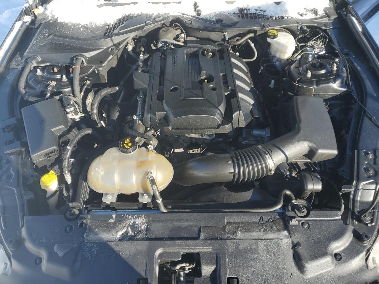 2019 Ford Mustang VIN: 1FA6P8TH8K5201467 Lot: 45326465