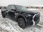 2023 Toyota Tundra Double Cab Sr продається в Magna, UT - Side