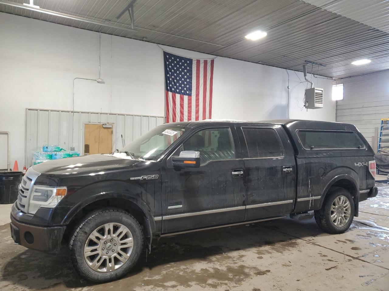 2014 Ford F-150 - Image 1