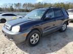 2005 Hyundai Santa Fe Gls en Venta en Charles City, VA - Rear End