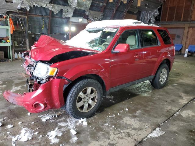 2011 Ford Escape Limited