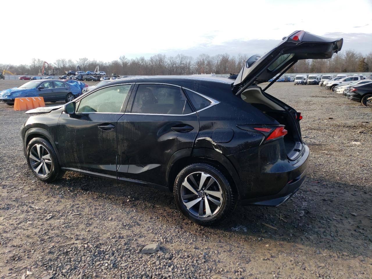 2020 Lexus NX - Image 2