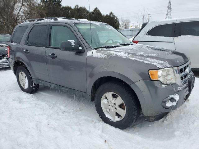 2010 FORD ESCAPE XLT