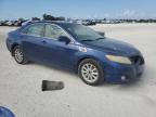 2010 Toyota Camry Base for Sale in Arcadia, FL - Front End