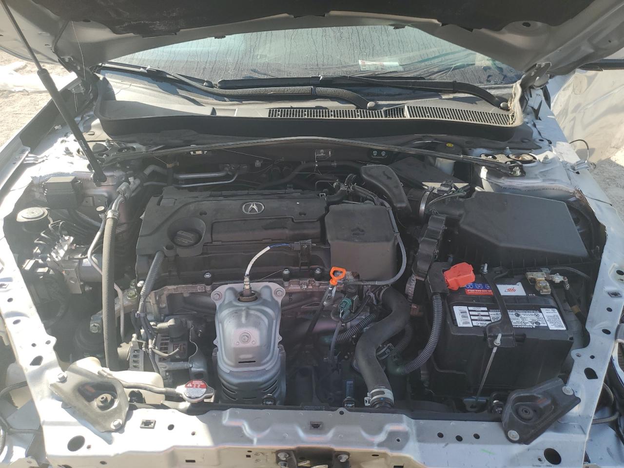 2020 Acura Tlx Technology VIN: 19UUB1F50LA000181 Lot: 88643935