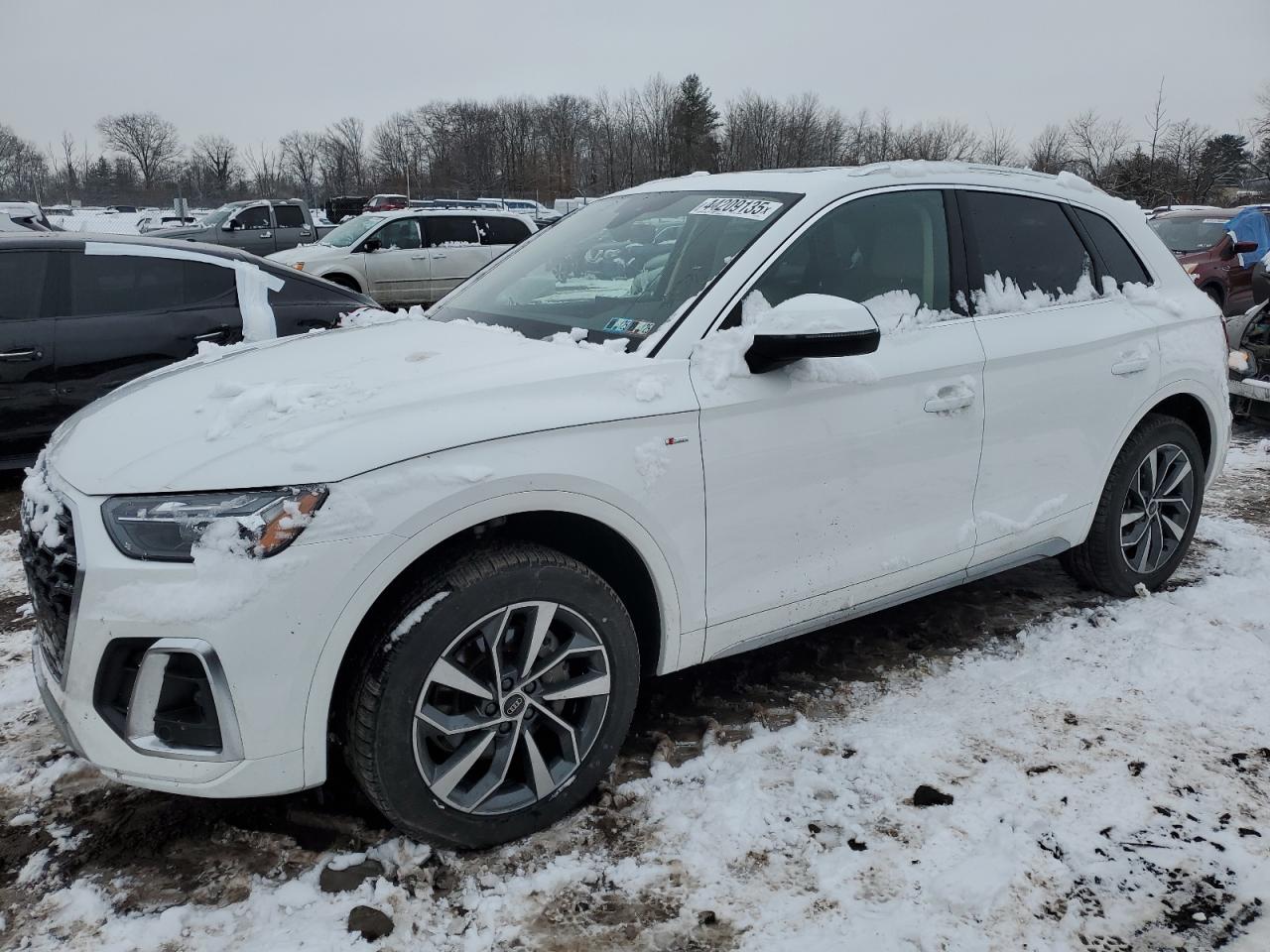 2023 Audi Q5 - Image 1