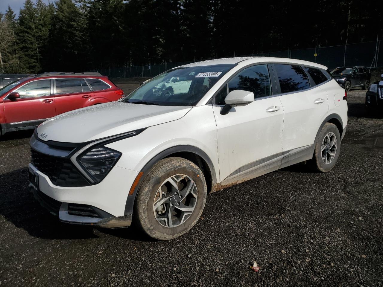 2025 Kia Sportage Lx for Sale in Graham, WA - Front End