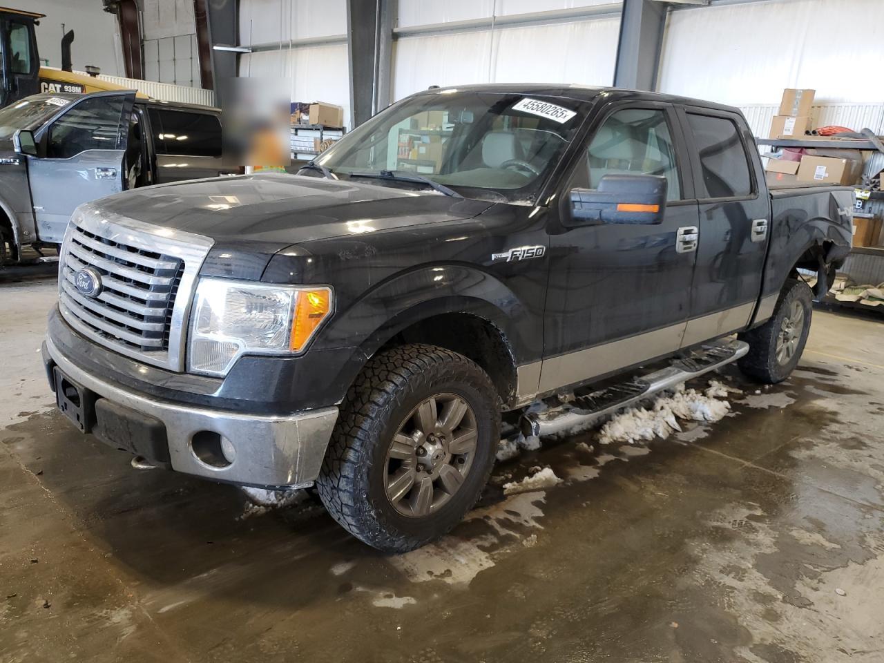 2010 Ford F-150 - Image 1