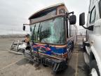 2016 Gillig Transit Bus Low for Sale in Pasco, WA - Front End