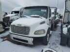 2005 Freightliner M2 106 Medium Duty на продаже в Brighton, CO - Minor Dent/Scratches