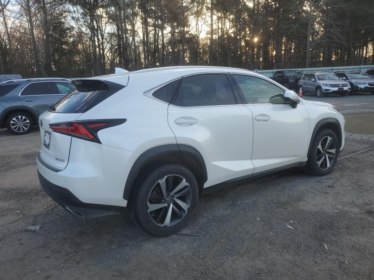 2018 Lexus NX - Image 3