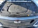 2024 Cadillac Lyriq Sport للبيع في Chicago Heights، IL - Rear End