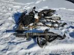 Franklin, WI에서 판매 중인 2009 Honda Xr650 L - Burn