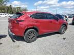 2019 Lexus Nx 300 Base for Sale in Riverview, FL - Rear End