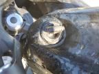 2023 KAWASAKI EX650 R for sale at Copart SC - NORTH CHARLESTON