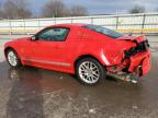 2013 Ford Mustang  for Sale in Lebanon, TN - Rear End