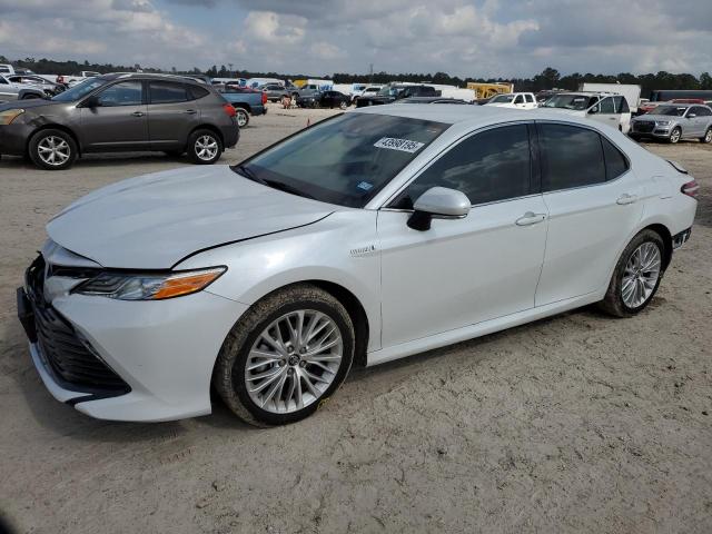 2019 Toyota Camry Hybrid